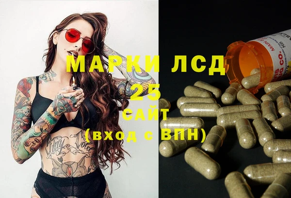 герыч Бородино