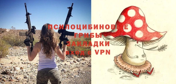 герыч Бородино