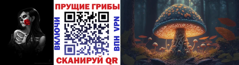 где можно купить наркотик  Егорьевск  Галлюциногенные грибы GOLDEN TEACHER 